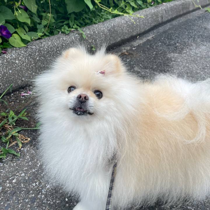 8a63b5fc ebb0 45be 9814 f5792864e8bd 1666095139010