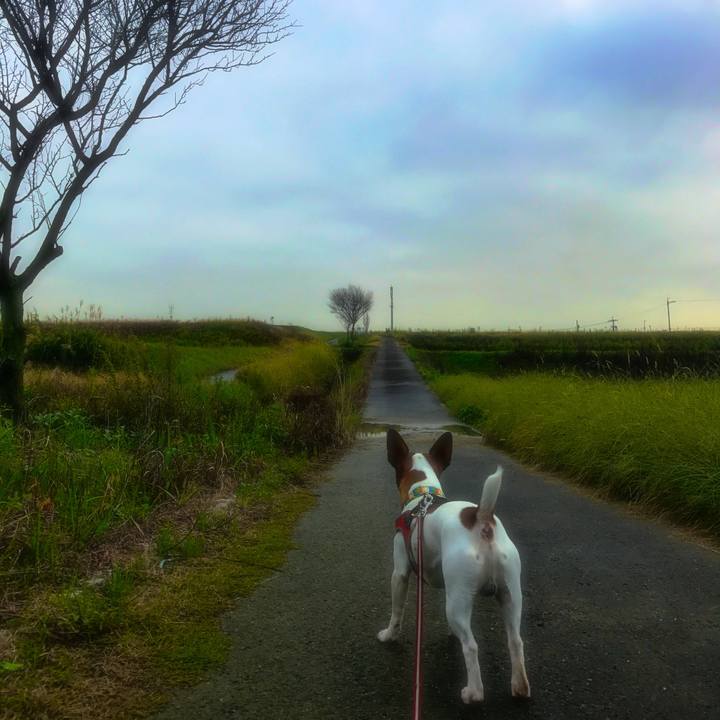 8a642374 f51d 44c1 af62 0aa94e7e61c1 1508231977678