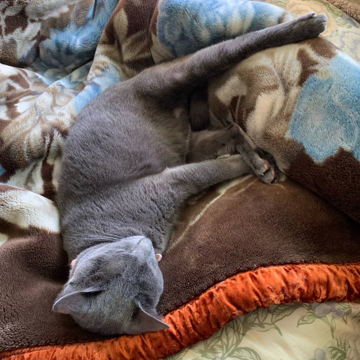 8a6426c9 8ec0 44f4 8679 8e7a8103be92 1583737283745