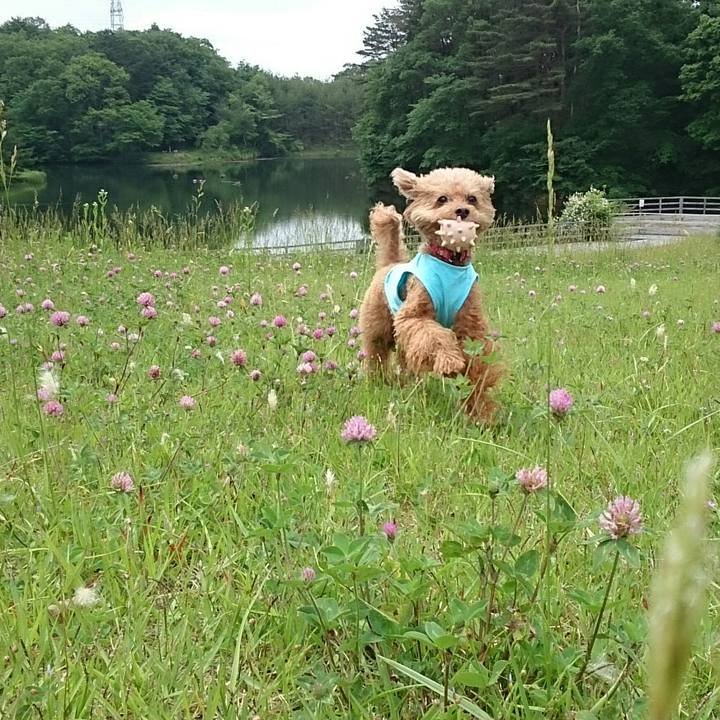 8a64383d 2a0f 45ee afdc fc9876b99206 1527469407107