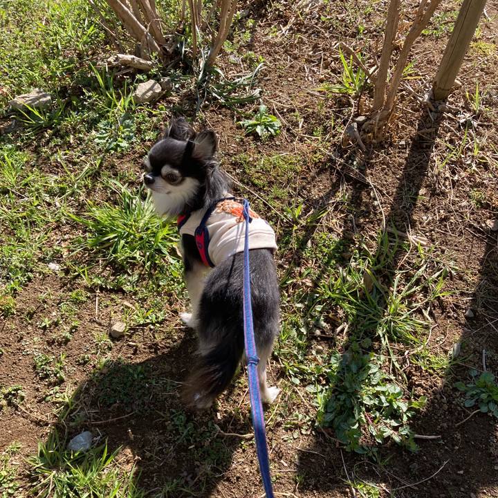 8a644247 dd58 4c1c 944c ba126ec04caf 1709450281208