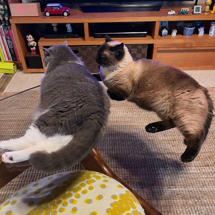 8a644490 0ac4 4ed6 bad1 577a27ef212b 1688289583855