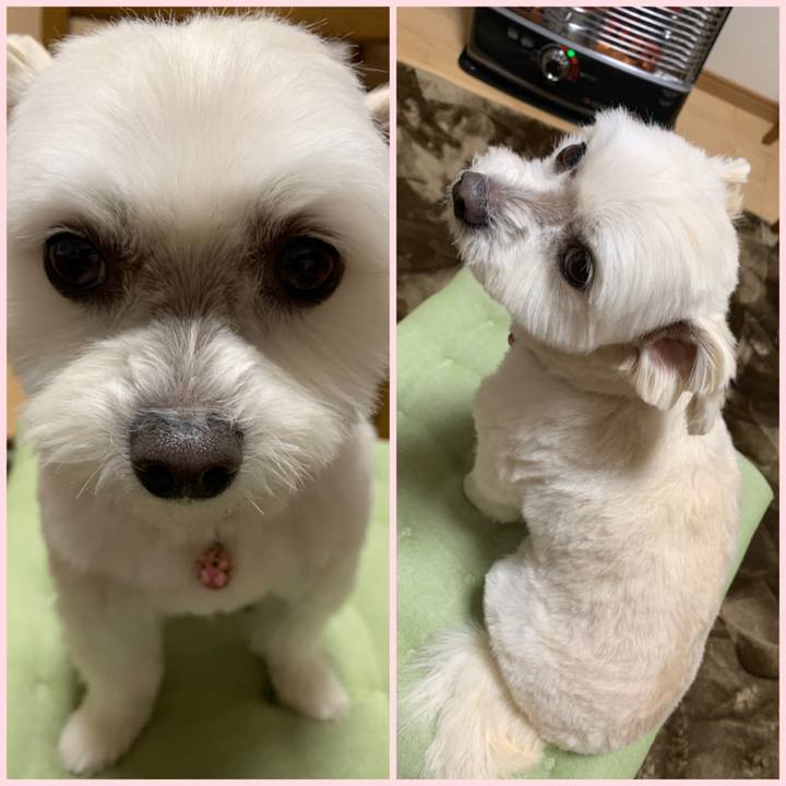 8a645d60 e8ec 4094 bc11 6aee2ab85178 1644210152267