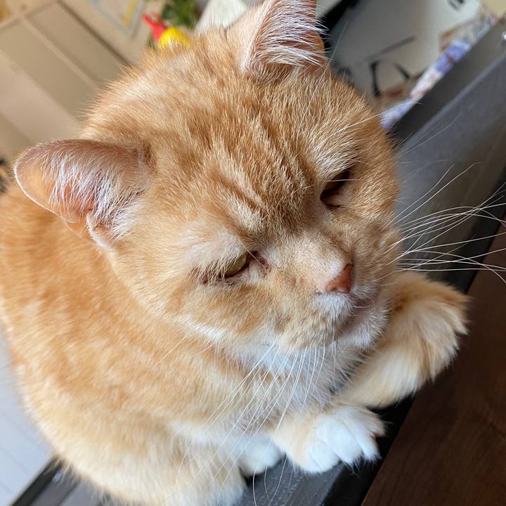 8a6475c4 be05 47f5 88f3 77a719f8c19a 1587607673147