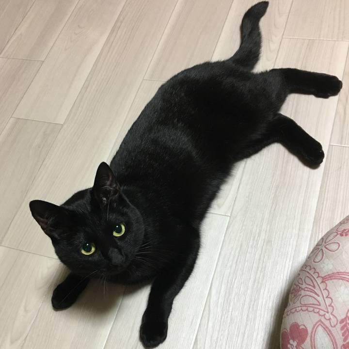 8a649e3b 28dd 4a37 bf6c 94d530aa43d2 1515506896112