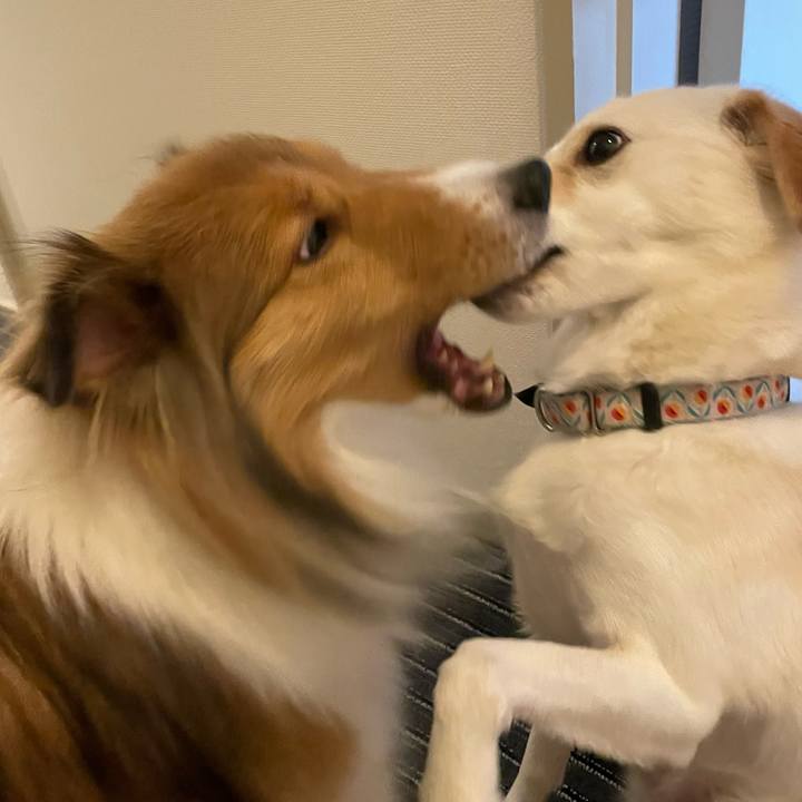 8a64aad4 ad2a 4e2f 8afa f0cec59334e5 1672584884865