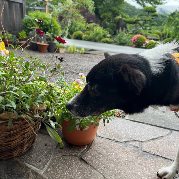 8a64b1f5 888d 4e44 add3 adfbc7a9794b 1686268428740