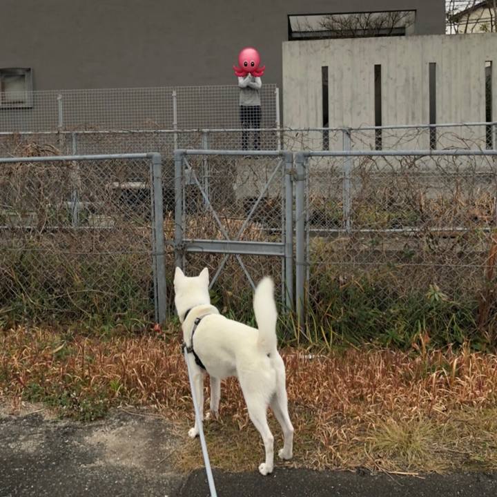 8a64efe4 684c 429f bf76 006627ea0163 1579266195175