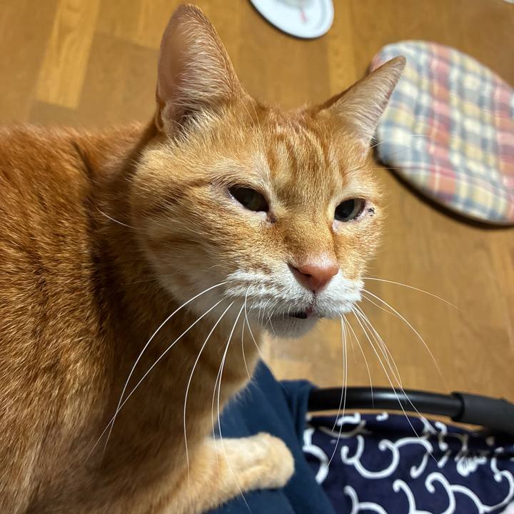 8a651f01 48c3 430d b685 54619168f576 1764152632992