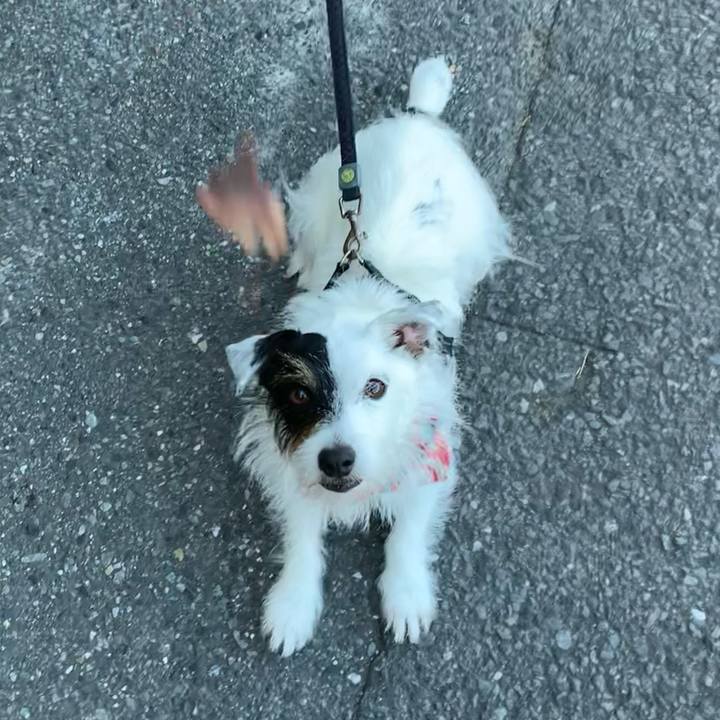 8a65917a 2abf 470d 8a9e 87f4ae27b29c 1658618919276