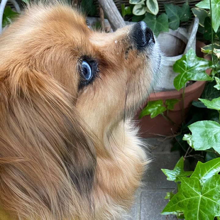 8a65cd18 84ae 4f82 8dca 1dc4542db83a 1617657237722