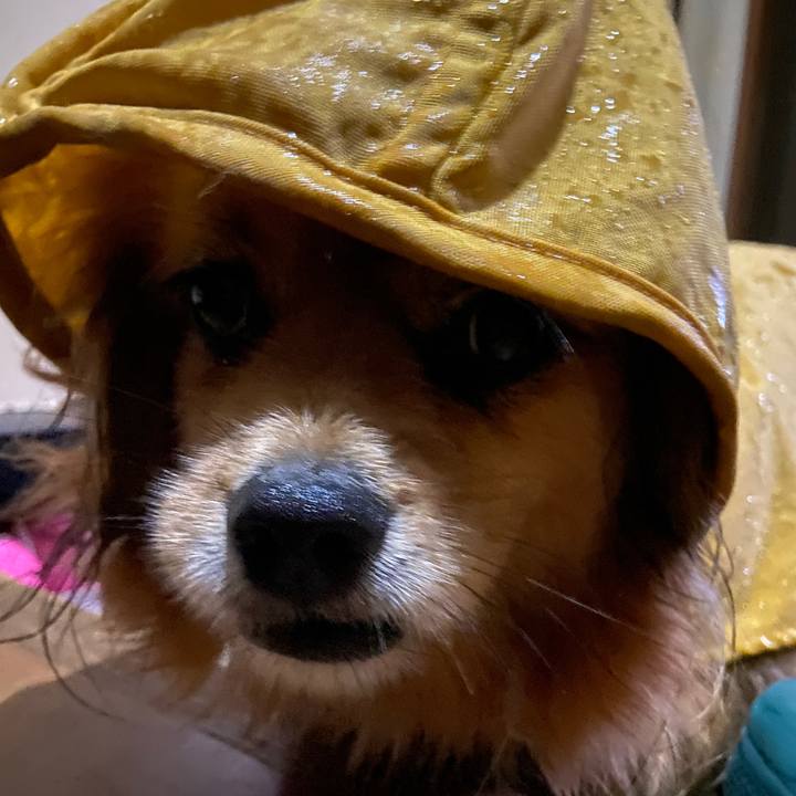 8a65d08e 0e24 4f6e 9b34 e11540902026 1657574706065