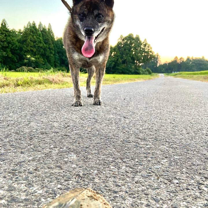 8a65ff13 3040 4b1d 9e66 37e90bc0daeb 1598530215084