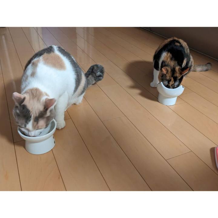 8a661cab f883 4017 8a2a 6c2f504f57d9 1689135176801