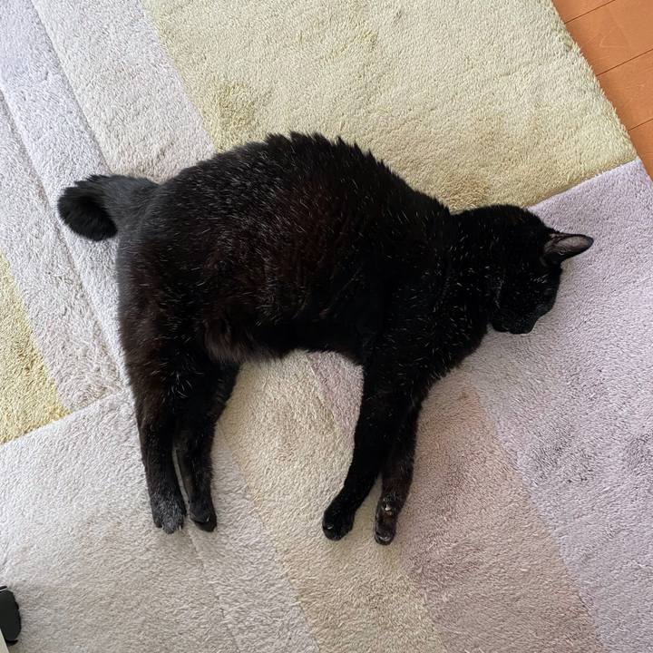 8a661d44 6860 43a4 be67 8f7561f62a31 1661952662594