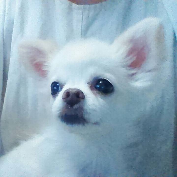 8a6645f7 6e38 45a4 b67f 50c8e952d771 1564904178563