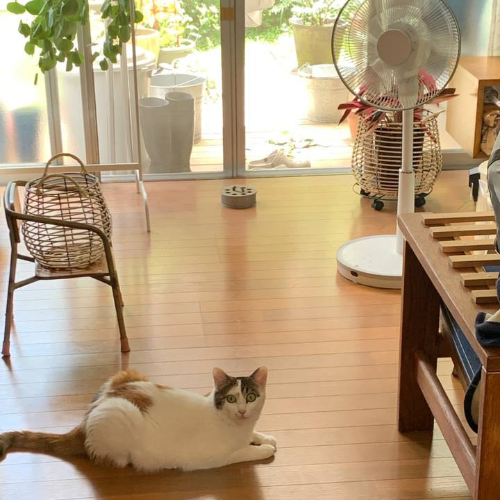 8a665b69 adda 4ac5 beab f66b116a177a 1654658886386