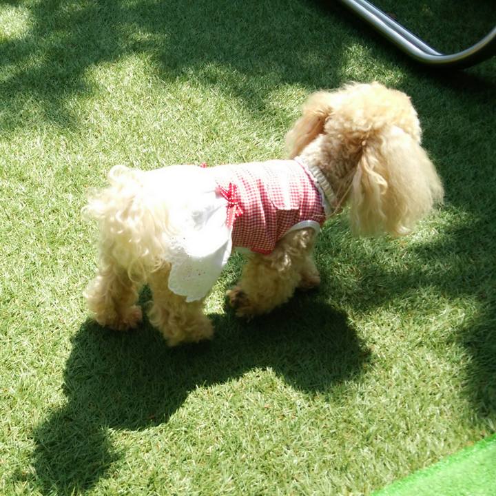 8a66793a 1a22 4b3a b72b e8f41a4baa09 1524141723084