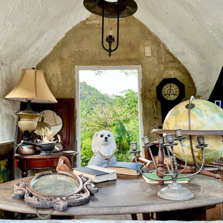 8a6689f3 5d22 4d43 8660 060a0bce350c 1668133542232