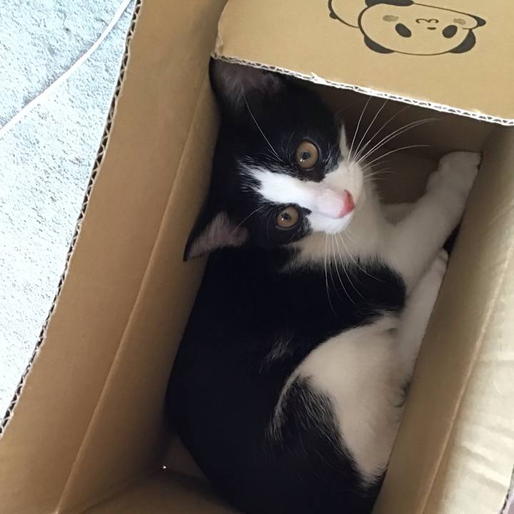 8a669232 e3b1 4b3e b78a 9a51db754c7d 1629454068641