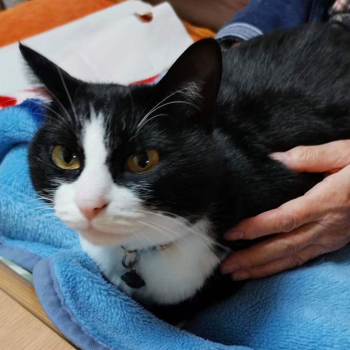 8a66c9c4 12be 478d 9dc7 155786ecda4d 1606967902450