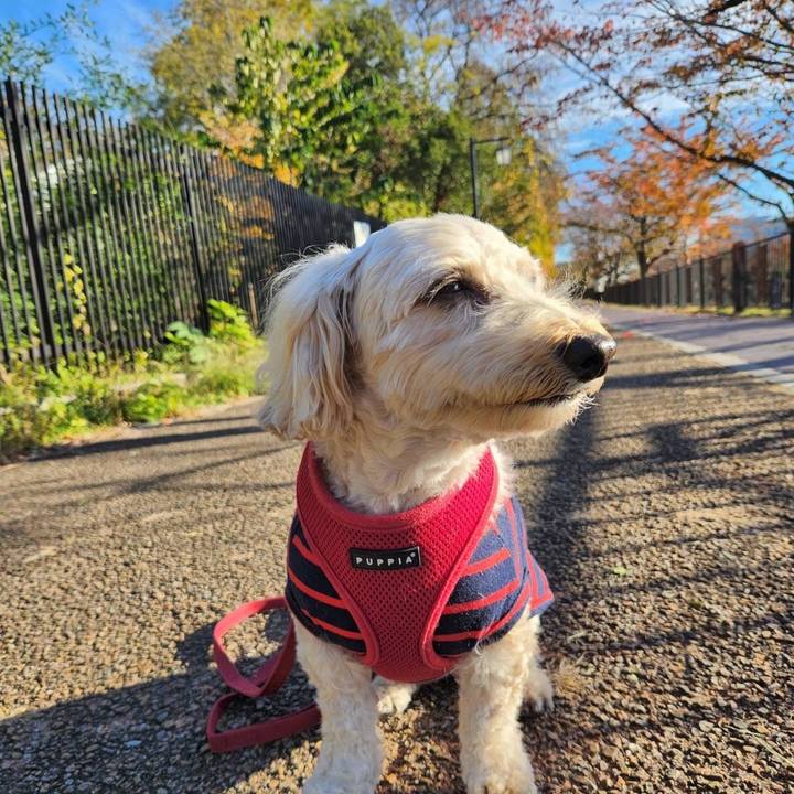 8a66e87e 0fb3 4848 a19b c4424e0376f6 1763895967270