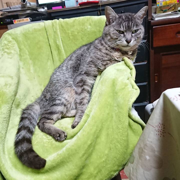 8a66ff09 c58d 4f99 b3a0 978a630e13fd 1584357479963