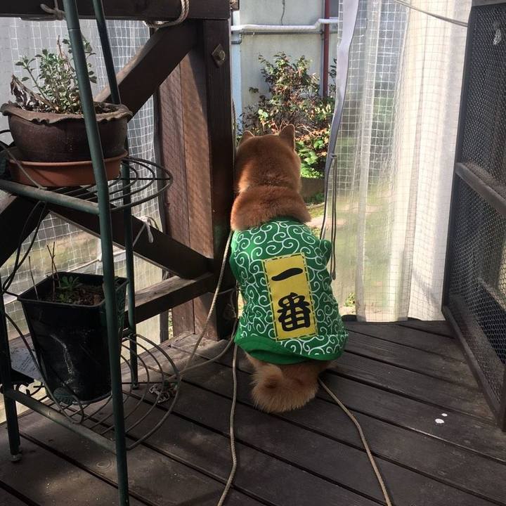 8a672522 2a29 4974 8a3e 54475d65fb14 1584058804796