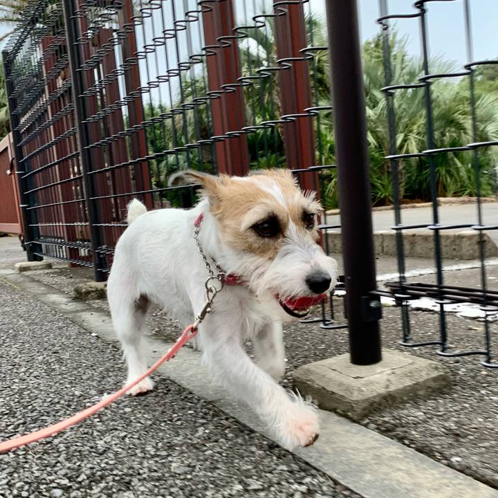 8a672ae2 b74d 45da ab00 0ad4e92e0769 1629678858411