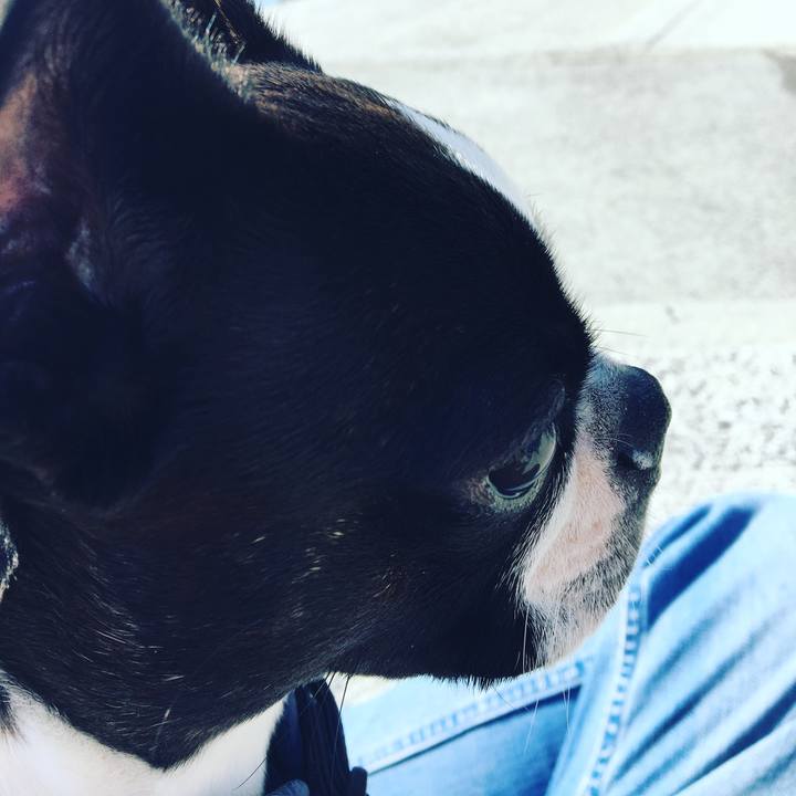 8a675f1d 8bac 4137 b347 fc60f7c386d9 1520477418569