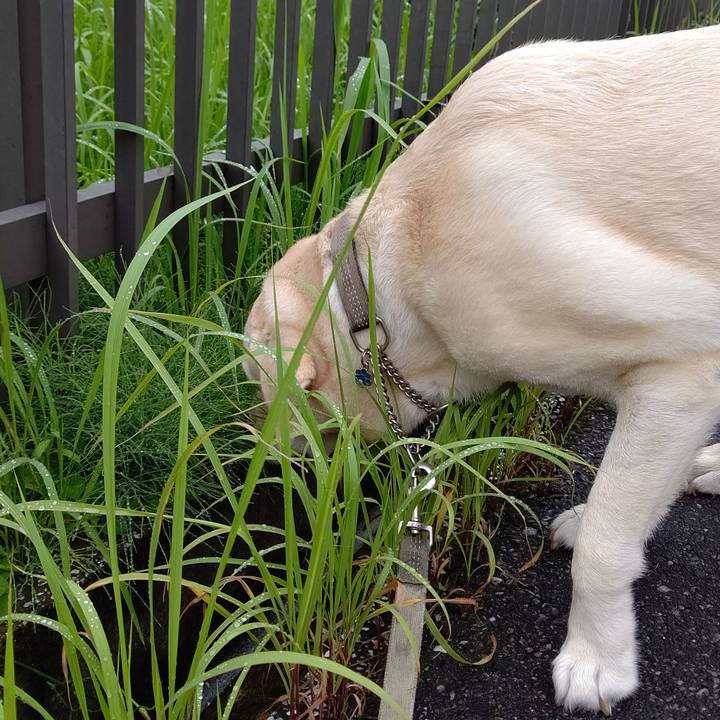 8a675f55 4c92 48c6 bcde 6164014462e3 1594792120123