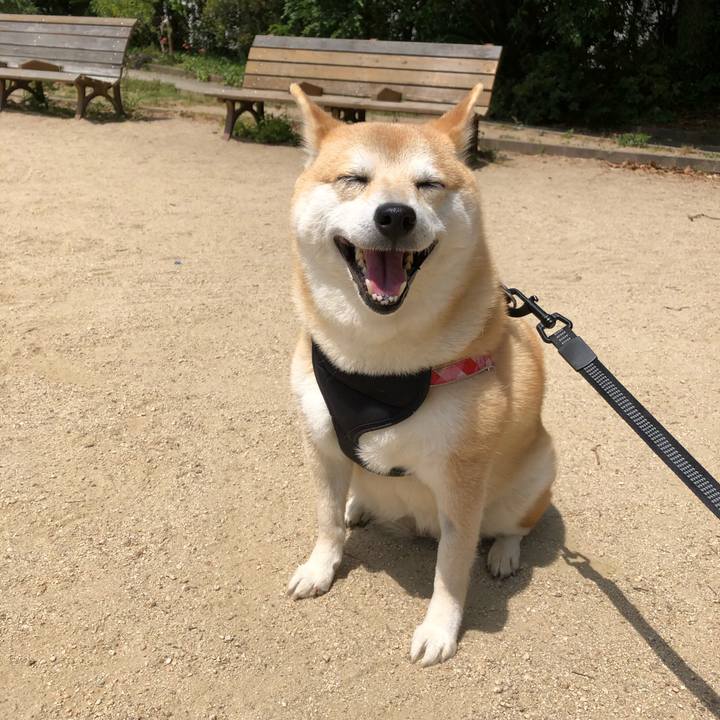 8a6761d9 243f 4f32 aa58 02f5b4f1f29f 1558045490809