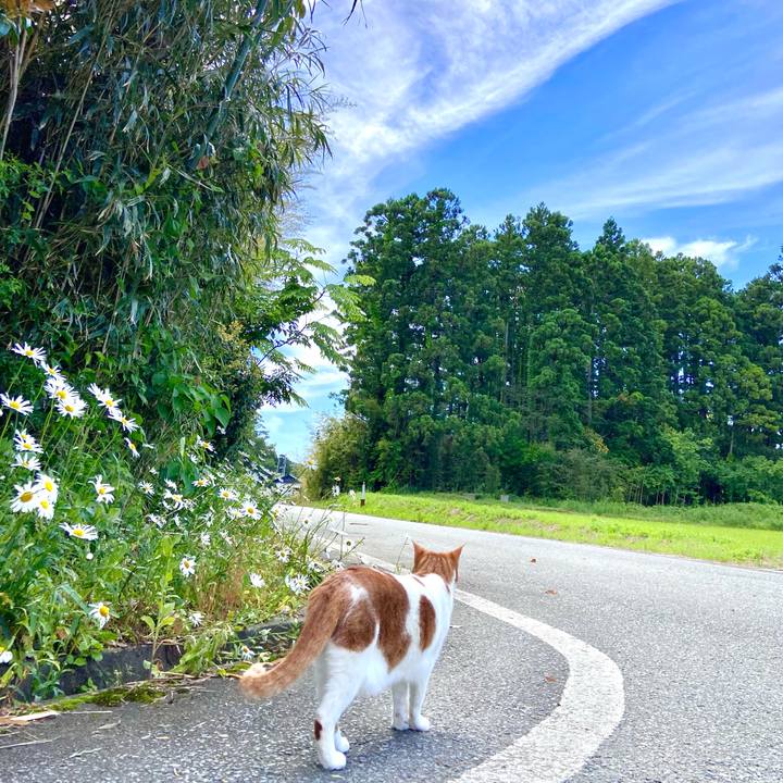 8a67647f 6b70 4d67 9599 4c021bee7112 1622876344079