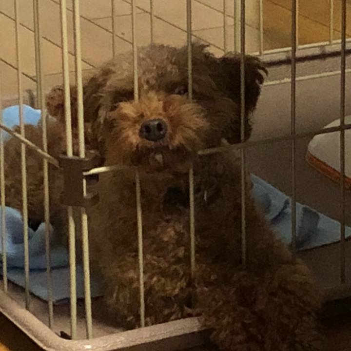 8a679bea 37ee 4e2d 98d0 601a0c5bd850 1540380586298