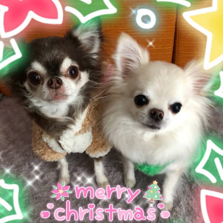 8a67ae3b f6b4 4f37 9f1d 6fe59551181b 1608861351732