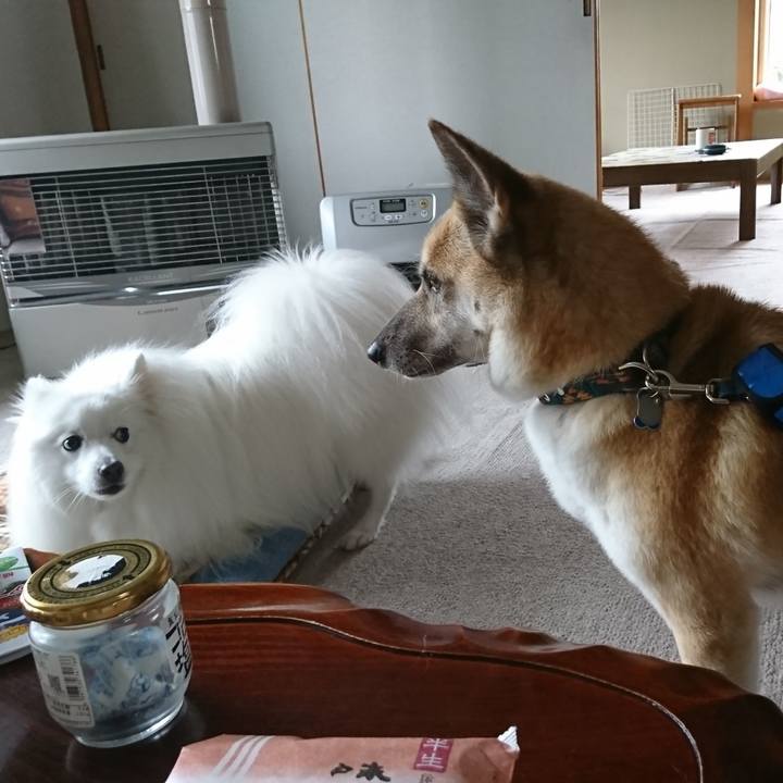 8a67bd12 1e29 490d 94c4 afc9f7e6c171 1619867852722