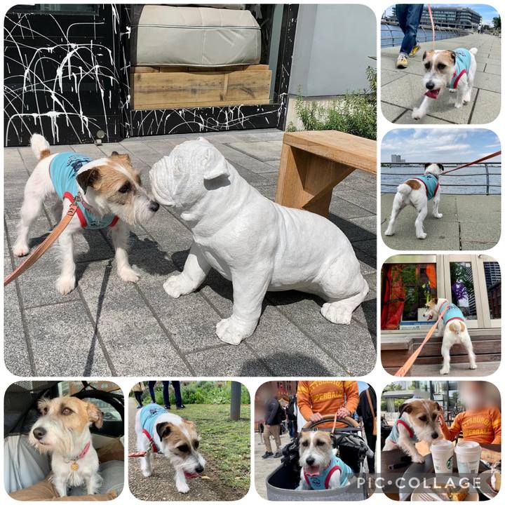 8a67bd88 baaa 4a21 b500 94820f7e478a 1651501696812