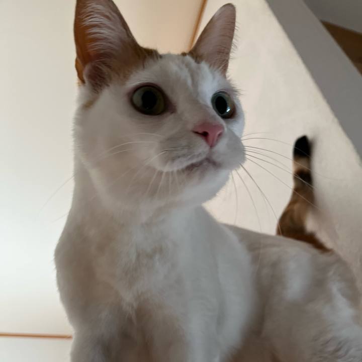 8a6819b5 4e59 4ce5 8746 b8331827adb5 1768652814943