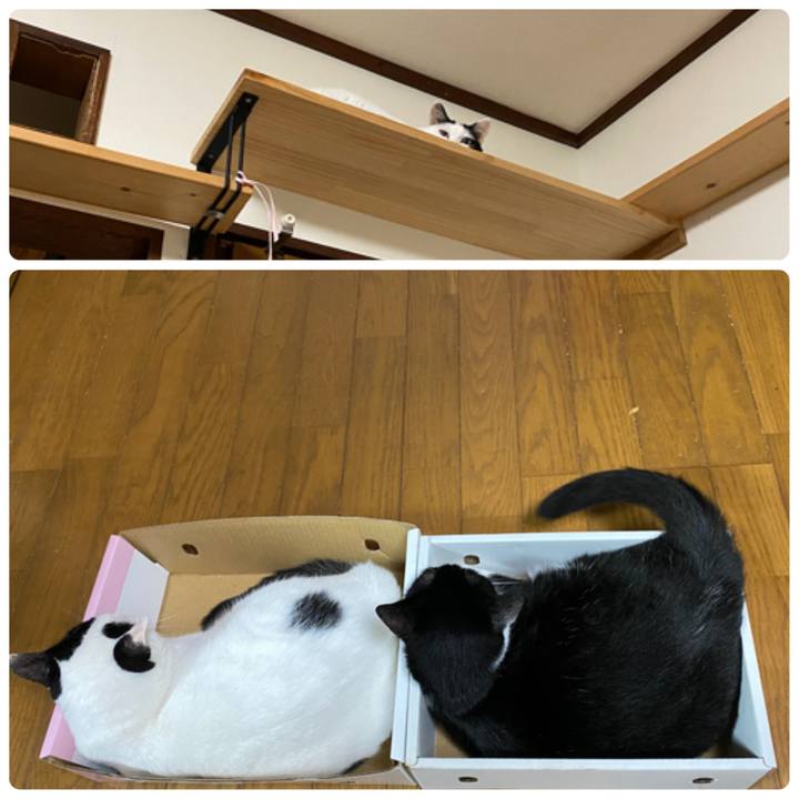 8a681bff 9692 4c9d 865c 7e146e6d1ea0 1658214058719