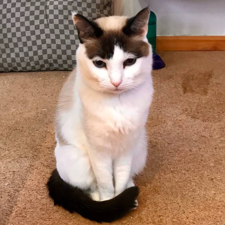 8a6867c2 8641 42c6 a162 a3faee82d83f 1579307621992