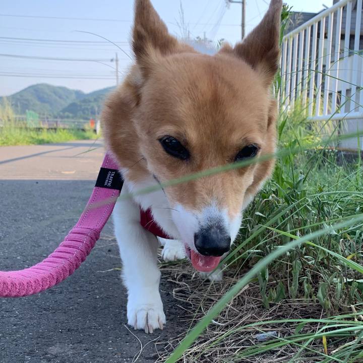 8a686809 a39a 48a9 8758 022eddf26a33 1690504985204