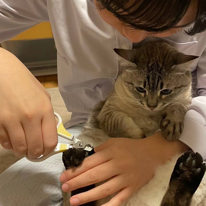 8a687398 2bad 4fb2 80a8 1b04cb5e3018 1681776735303