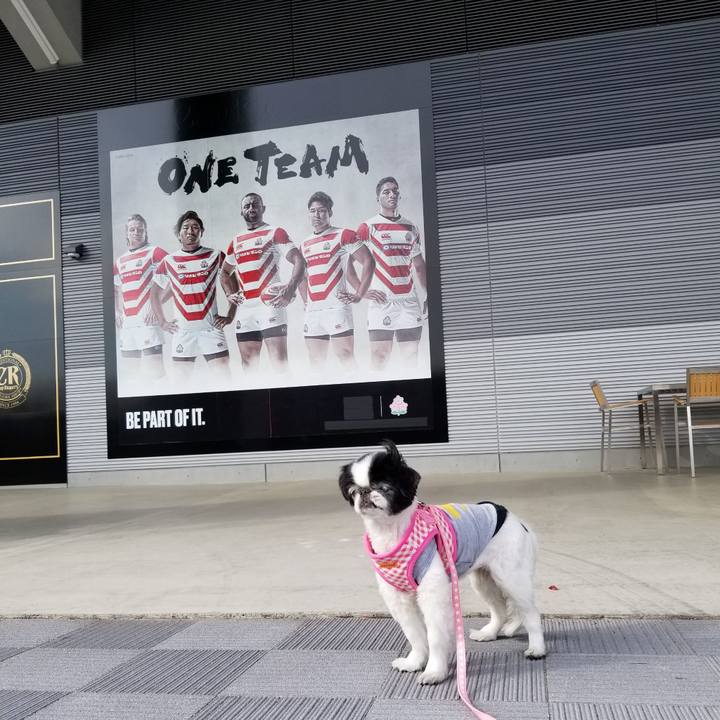 8a688bc1 3c39 42ba ac4d ad075ac02258 1615018707907