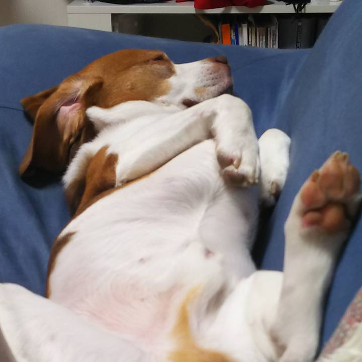 8a68b3ee dfa0 4237 9c58 7ccfc615f604 1633261754623