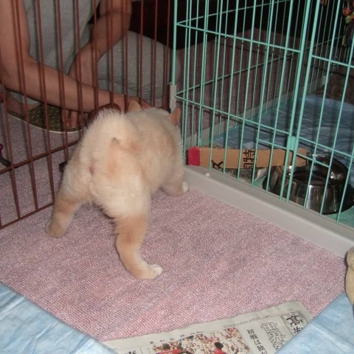 8a68bdac 65ec 477f 8a1c 3d77049bfdc1 1638430402073