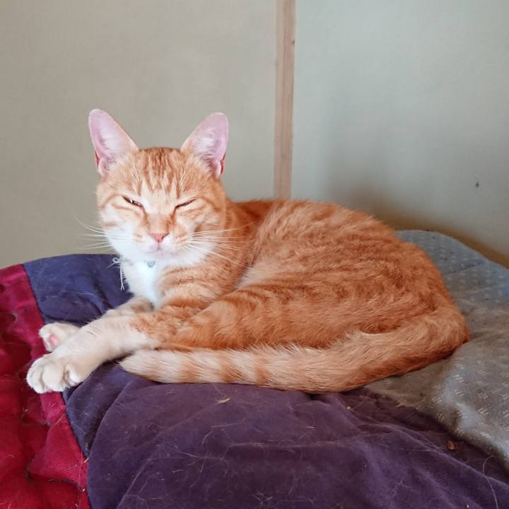 8a68dca3 2dcb 4208 a414 e1e521a928b1 1592257545534