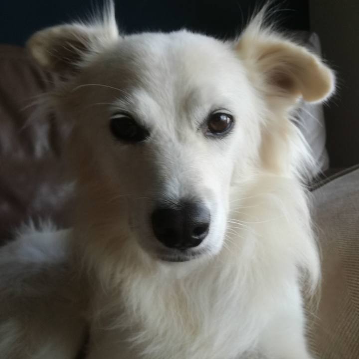 8a68f8fa 91e5 4bec ba79 31a9550b5f02 1509948272592