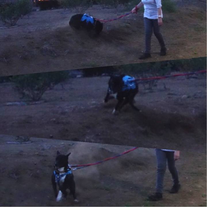 8a6900cb 026e 4d7e bef5 0d2187e274d5 1620303424106