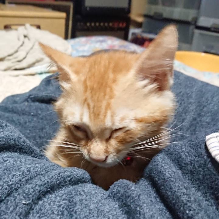 8a690517 d29c 42d9 b87d f655793cd088 1630498874125