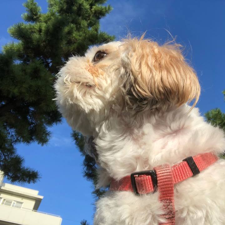 8a69352a 34d2 499b 87d8 080d614d7ec4 1535236744775